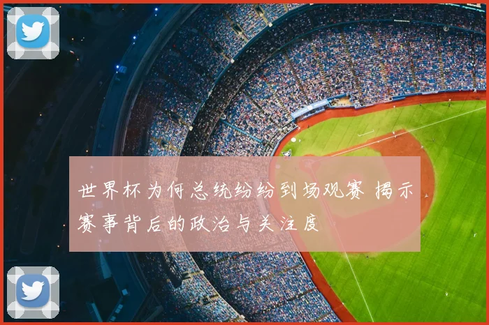 世界杯为何总统纷纷到场观赛 揭示赛事背后的政治与关注度