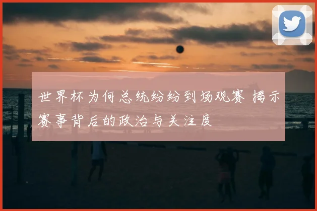 世界杯为何总统纷纷到场观赛 揭示赛事背后的政治与关注度