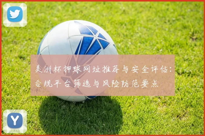 美洲杯押球网址推荐与安全评估：合规平台筛选与风险防范要点