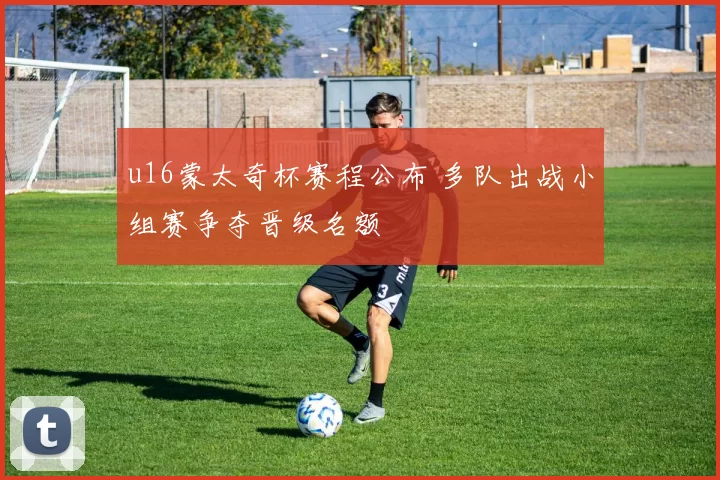 u16蒙太奇杯赛程公布 多队出战小组赛争夺晋级名额