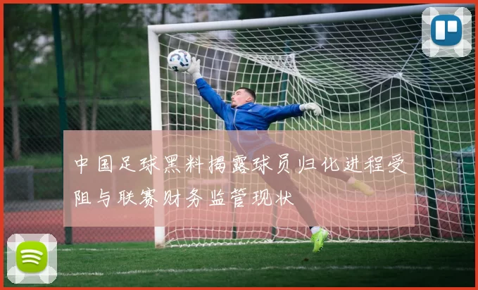 中国足球黑料揭露球员归化进程受阻与联赛财务监管现状